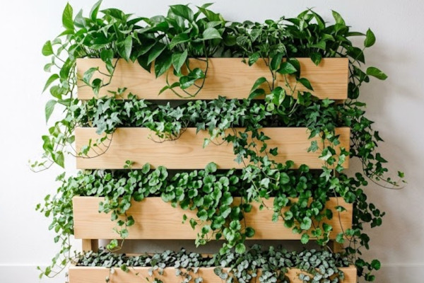 Jardinière en escalier - Jardinières étagées